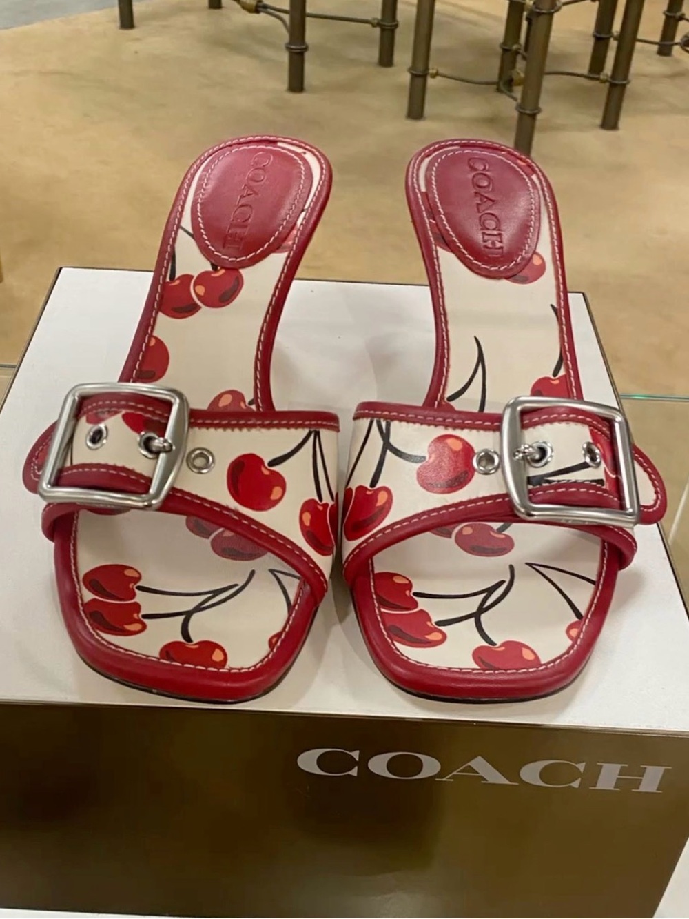 Coach Margot Red Cherry-Print Kitten Heel
